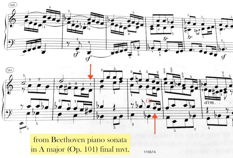 Beethoven op.101 final